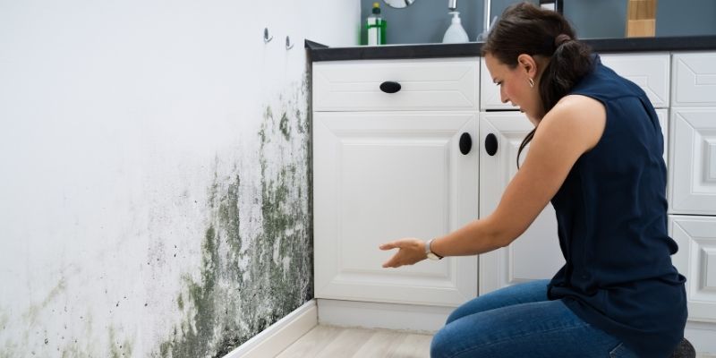 Selling A House With Mold In Mississippi Without Losing Your Mind Or Your Money