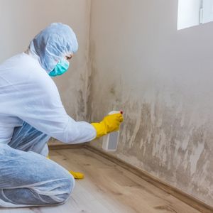 Can a House with Mold Be Sold in Mississippi