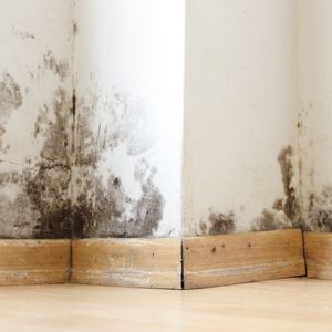 Is It Legal to Sell a House with Mold in Mississippi