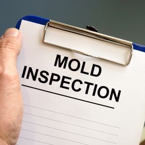 Is a House with Mold Sellable in Mississippi