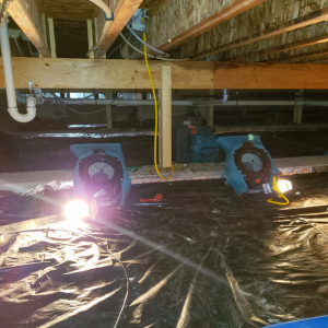 Selling a House with a Waterlogged Crawl Space Tennessee